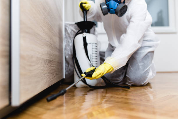 Best Pest Control for Restaurants  in Bedford, OH
