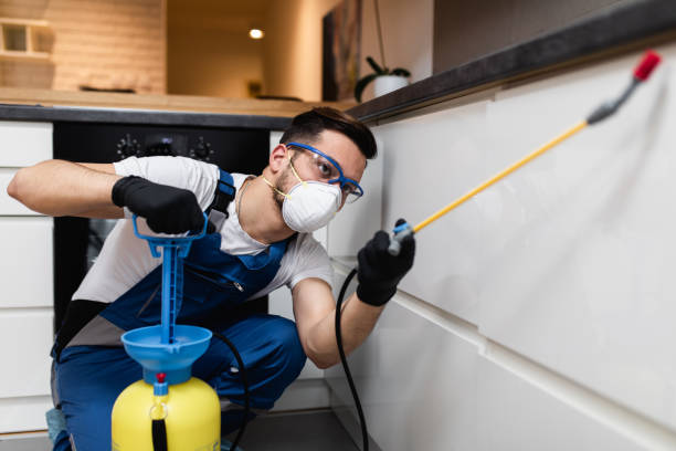 Best Affordable Pest Control Services  in Bedford, OH