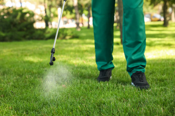 Trusted Bedford, OH Pest Control Experts