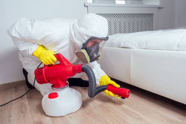 Best Flea Control Services  in Bedford, OH