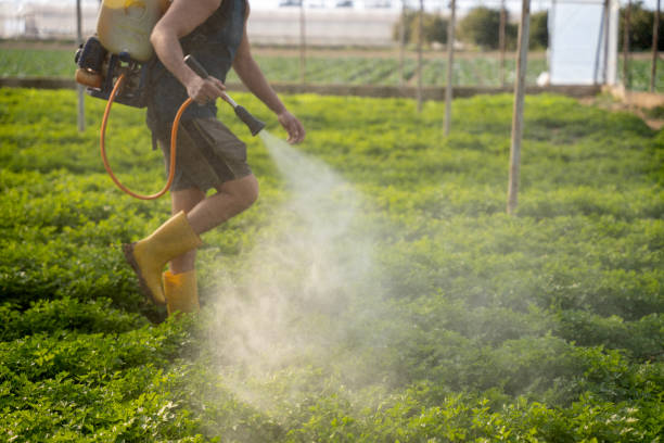 Best Affordable Pest Control Services  in Bedford, OH