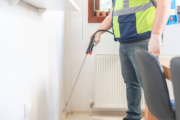 Best Local Pest Control Services  in Bedford, OH