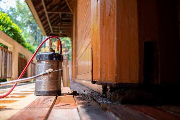 Best Best Pest Control Companies  in Bedford, OH
