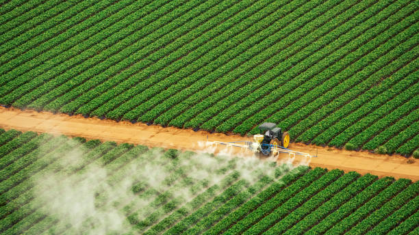 Best Pest Removal Services  in Bedford, OH