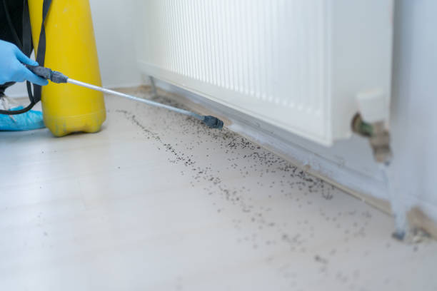 Best Bed Bug Extermination  in Bedford, OH
